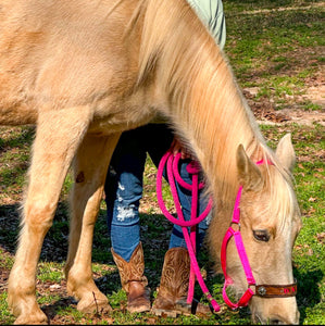 PERSONALIZED   nylon horse halter fuchsia