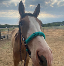 Green turquoise side pull hackamore  bitless attachment.... with black or  brown chinstrap...all sizes