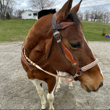 side pull hackamore "with a whoa"  AVERAGE horse size with brown chinstrap