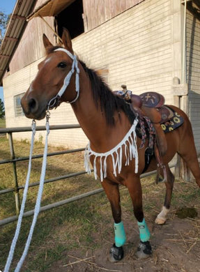 White mule tape tack set browband headstall, tripping collar, and reins