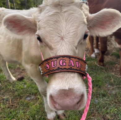 Personalized COW  halter large cow or mini cow size hot pink
