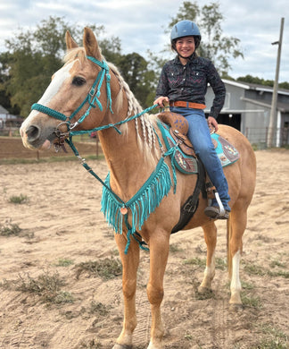 Teal and Turquoise  horse tack set,  (tie down  set, fringe breast collar, wither strap, reins, and bridle)