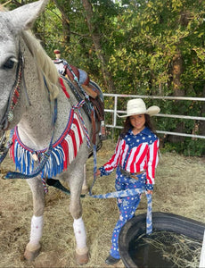 Patriotic tack set all sizes