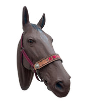 PERSONALIZED   nylon horse halter burgundy