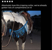 Mule tape horse tripping collar blue