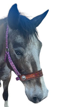 PERSONALIZED pink cheetah nylon horse halter