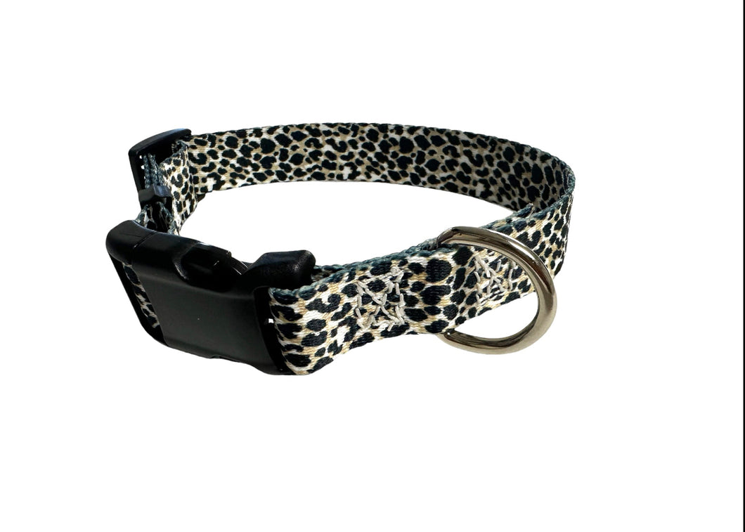 Sale M dog collar cheetah.