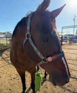 PERSONALIZED horse halter rainbow cheetah