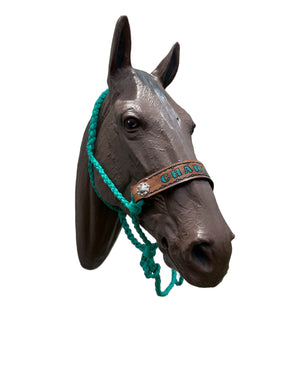 PERSONALIZED Green turquoise Braided mule tape horse halter  leather noseband with flat noseband