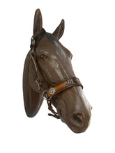 Horse complete leather cross personalized  Bitless bridle set
