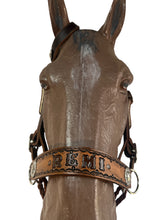Horse complete leather cross personalized  Bitless bridle set