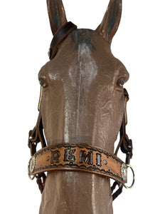 Horse complete leather cross personalized  Bitless bridle set