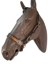 Horse complete leather cross personalized  Bitless bridle set