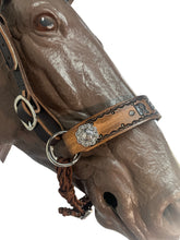 Horse complete leather cross personalized  Bitless bridle set
