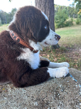 TBT Hand tooled personalized leather dog collar leather tooled