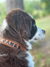 TBT Hand tooled personalized leather dog collar leather tooled