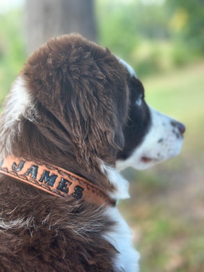 TBT Hand tooled personalized leather dog collar leather tooled