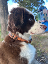 TBT Hand tooled personalized leather dog collar leather tooled