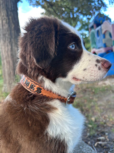 TBT Hand tooled personalized leather dog collar leather tooled