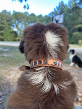 TBT Hand tooled personalized leather dog collar leather tooled