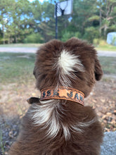 TBT Hand tooled personalized leather dog collar leather tooled