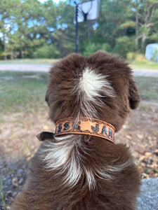 TBT Hand tooled personalized leather dog collar leather tooled