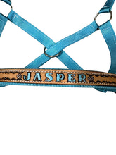 Personalized blue Nylon cow halter all sizes.