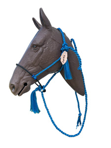 Lariat mule tape horse halter with personalized feather tag and  lead royal blue.