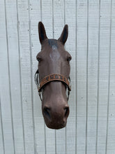 PERSONALIZED Cow print nylon horse halter