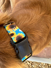 Blue sunflower Nylon dog collar