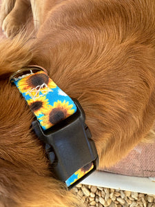 Blue sunflower Nylon dog collar