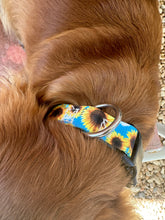 Blue sunflower Nylon dog collar