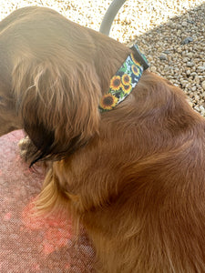 Cow sunflower Nylon dog collar (option to personalize)