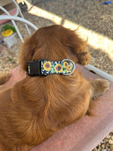 Cow sunflower Nylon dog collar (option to personalize)