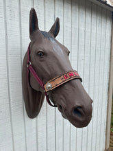 PERSONALIZED burgundy nylon horse halter