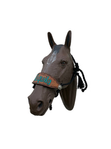 Black Braided mule tape horse halter with personalized noseband (Copy)