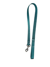 Sale dog leash teal