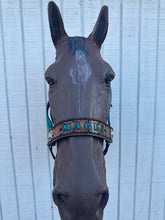 PERSONALIZED   nylon horse halter dark teal