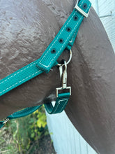 PERSONALIZED   nylon horse halter dark teal