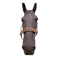 PERSONALIZED black and white Cow print nylon horse halter