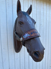 Personalized   Dragon bronc noseband nylon horse halter