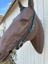 Butter soft black and turquoise leather one ear  Headstall with quick change buckles horse size