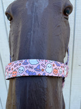 Horse Halter nylon tie dye