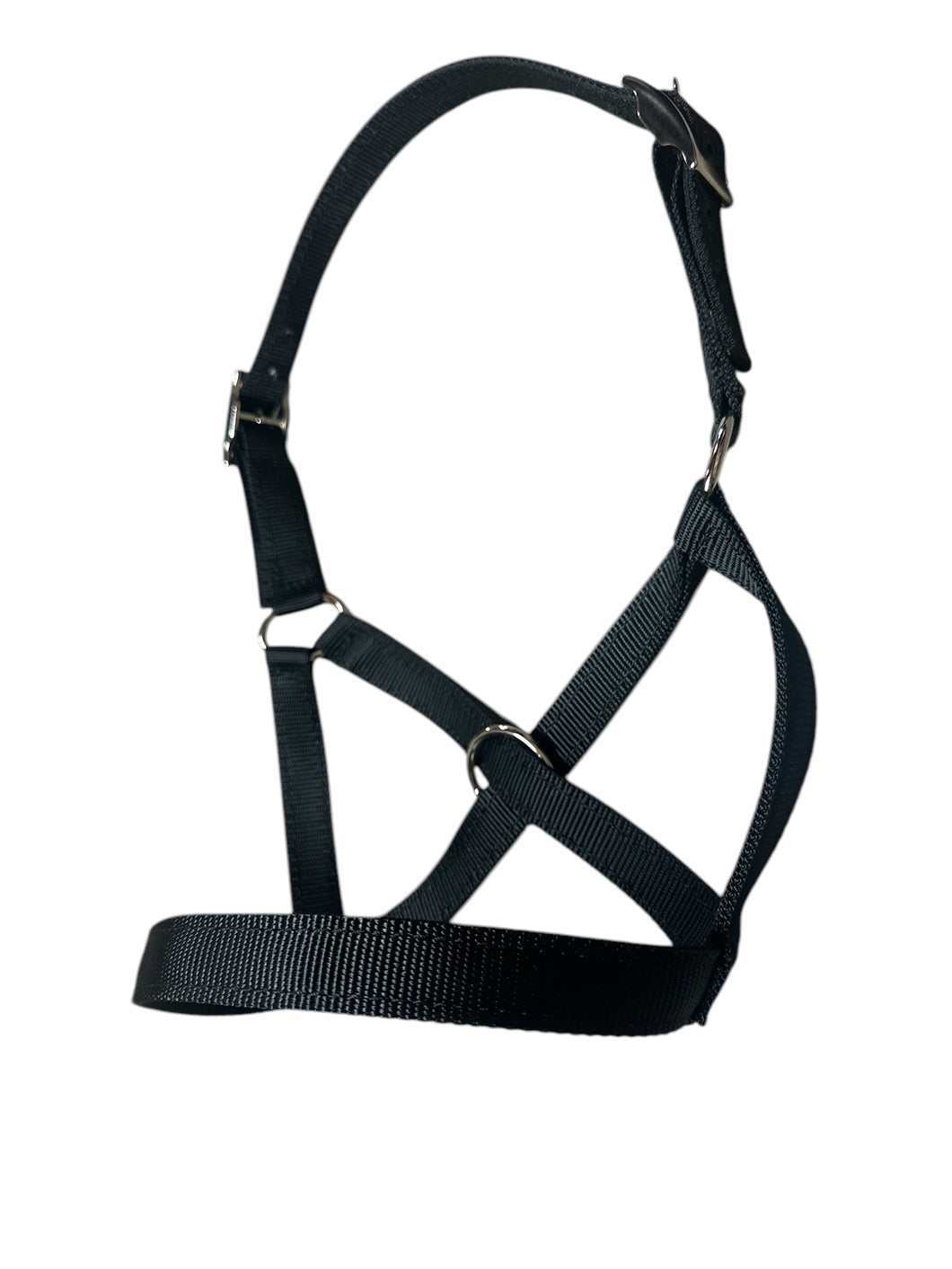Nylon cow halter all sizes