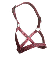 Nylon cow red bandana halter all sizes