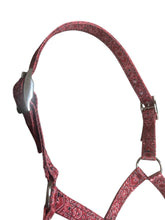 Nylon cow red bandana halter all sizes