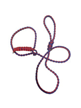 Small livestock adjustable halter and lead, sheep, alpaca, small cow with a handle