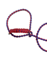 Small livestock adjustable halter and lead, sheep, alpaca, small cow with a handle
