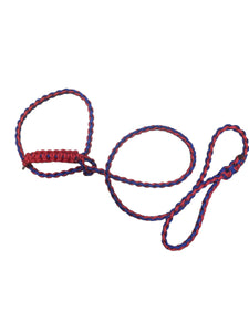 Small livestock adjustable halter and lead, sheep, alpaca, small cow with a handle