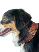 Hand tooled personalized leather dog collar cross basket weave